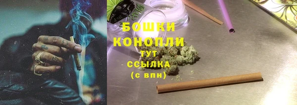 шишки Каменка