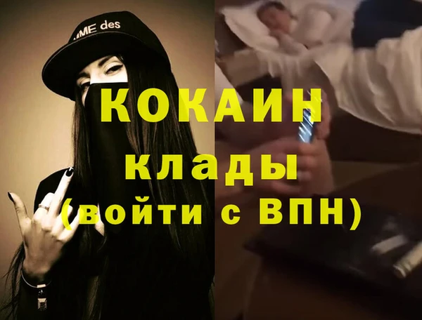 шишки Каменка