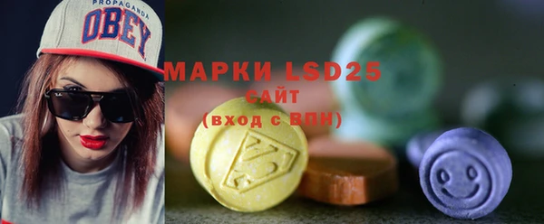 шишки Каменка