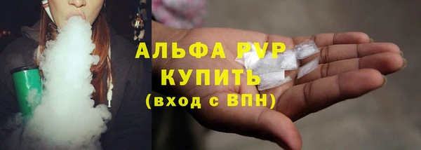 шишки Каменка