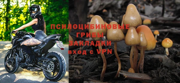 стафф Карталы
