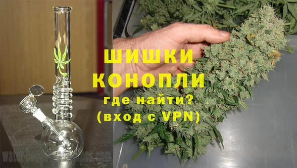прущие крисы Каменногорск