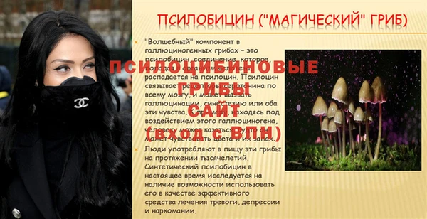 стафф Карталы