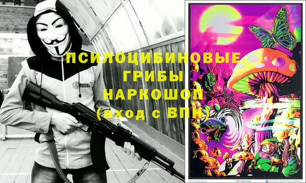 шишки Каменка