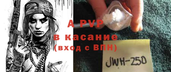 прущие крисы Каменногорск