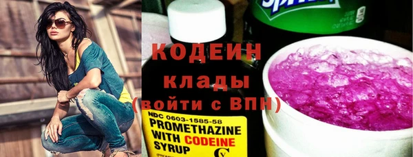 шишки Каменка