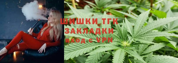 spice Карпинск