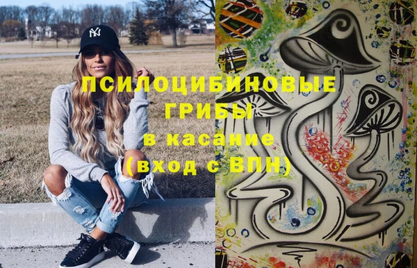 крисы Касимов