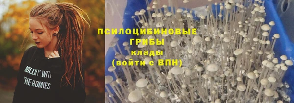 крисы Касимов