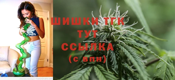 шишки Каменка