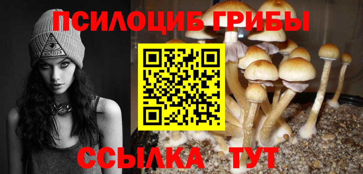 Новый Уренгой  Галлюциногенные грибы Cubensis  Вход с VPN  Галлюциногенные грибы ЛСД 